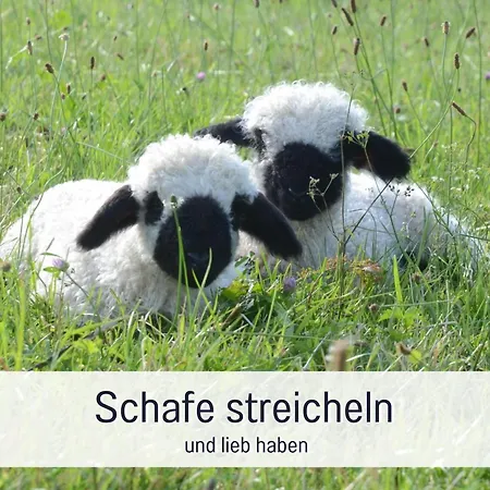 Apartmán Waibelhof *